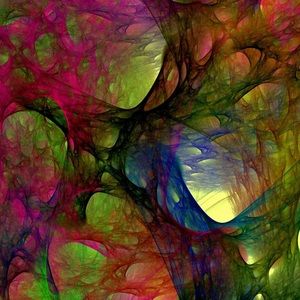 Meet your Posher, Alina